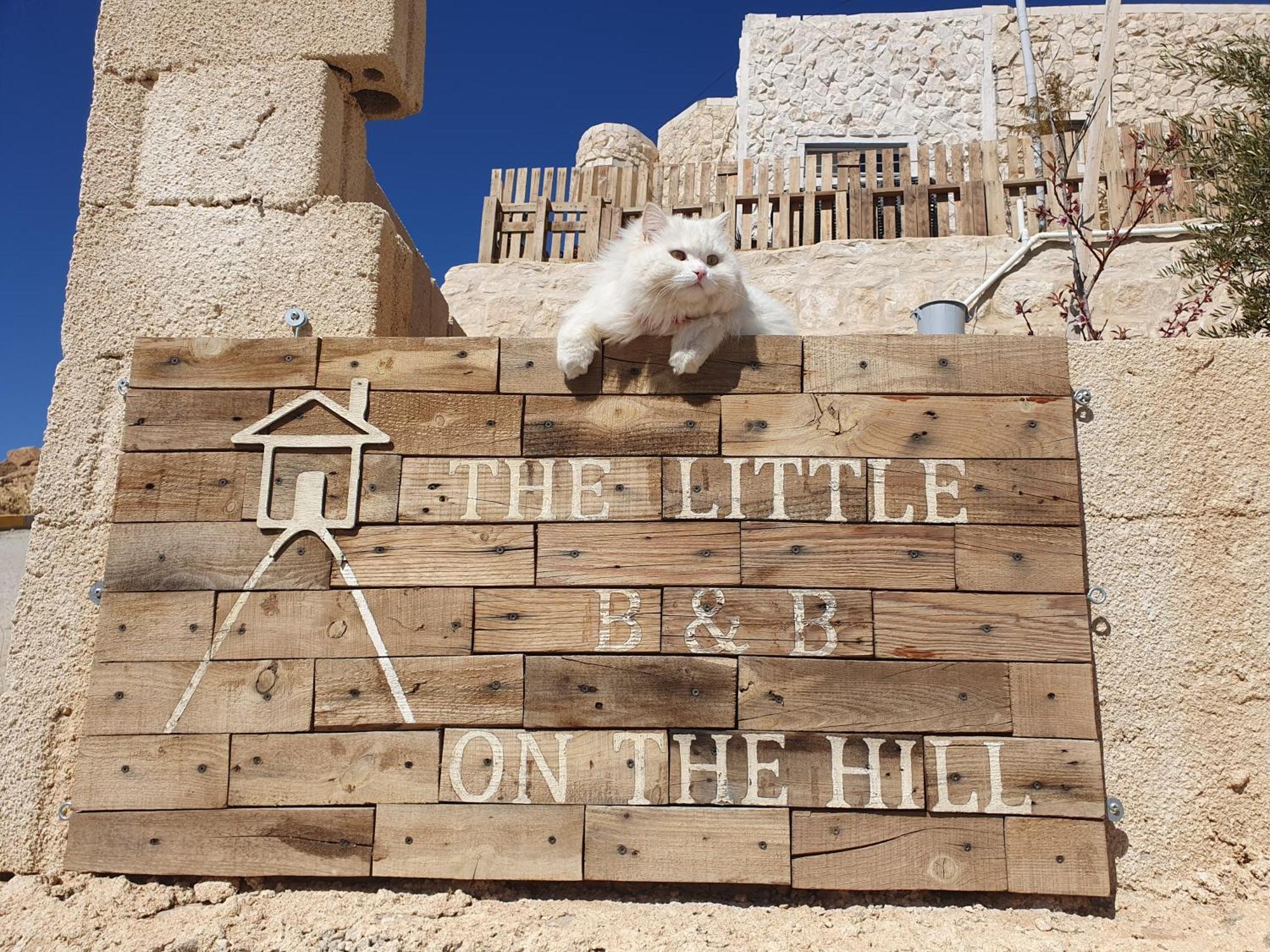 The Little B&B On The Hill Wadi Musa Exterior photo