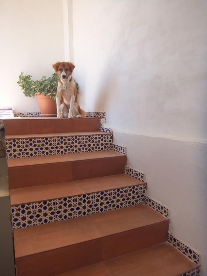 The Little B&B On The Hill Wadi Musa Exterior photo